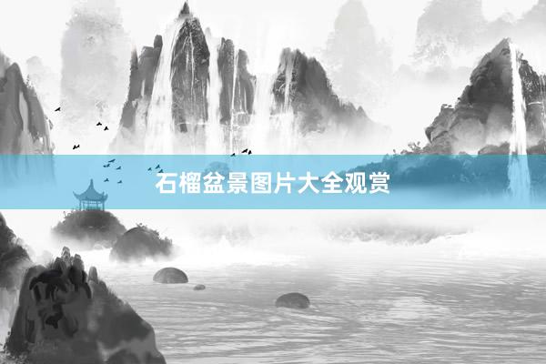石榴盆景图片大全观赏