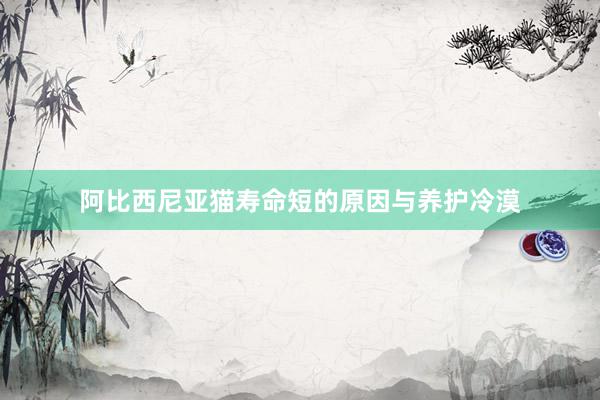 阿比西尼亚猫寿命短的原因与养护冷漠
